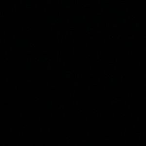 Meet your Posher, Shanon